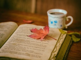 Aicina uz ģimenes stundu Skrundas pilsētas bibliotēkā